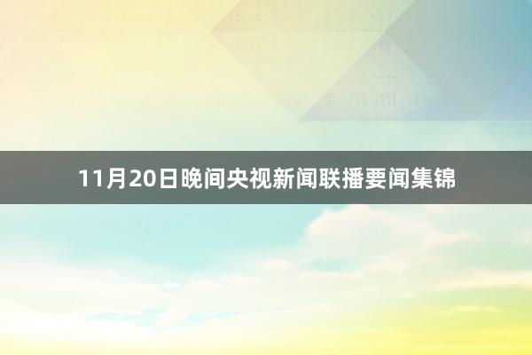 11月20日晚间央视新闻联播要闻集锦